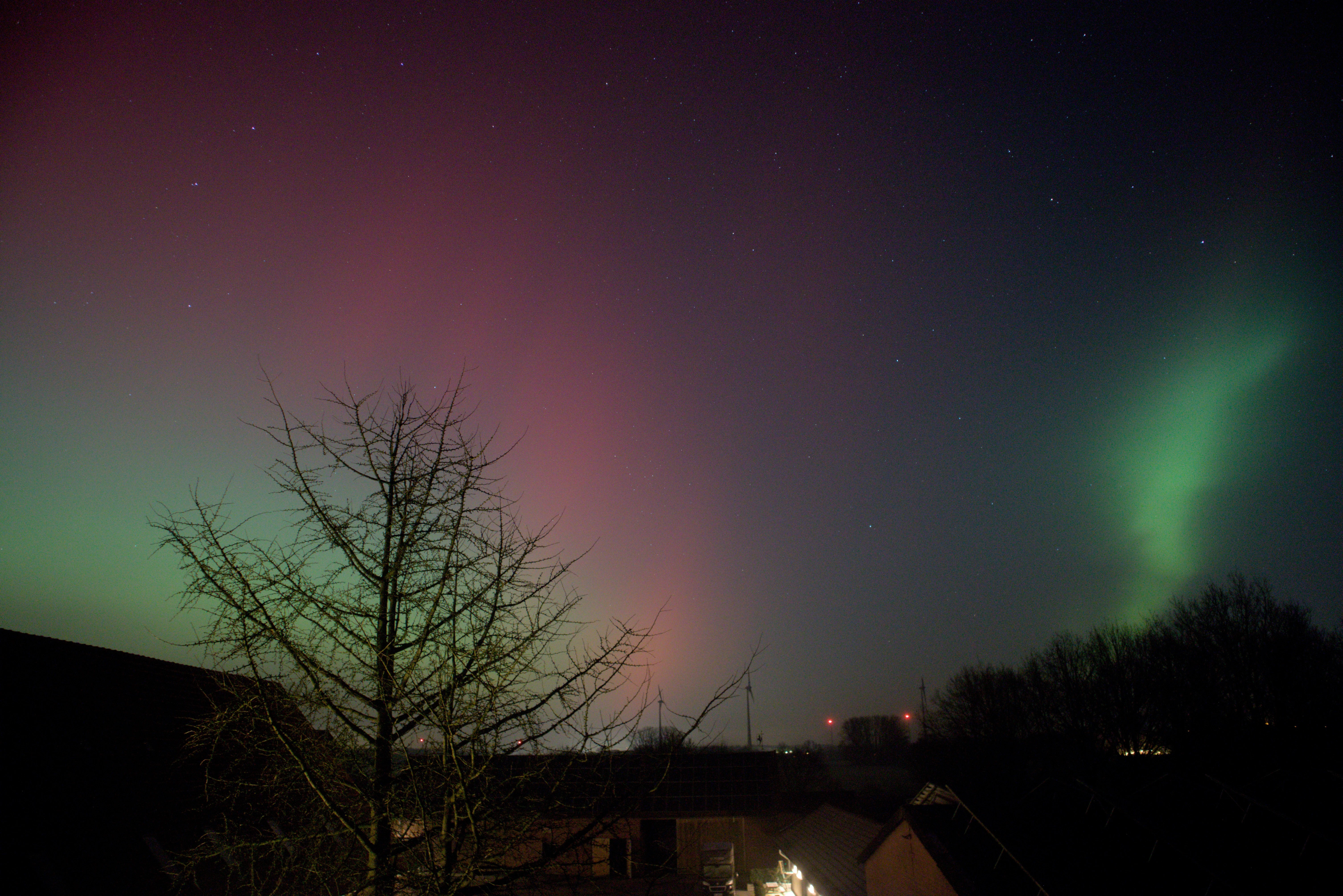 Nachthimmel mit einer entblätterten Baumkrone im Vordergrund. In der Entfernung sind leuchtende Windräder zu sehen. Auf der linken Seite des Himmels befindet sich das grüne und rötliche Farbband aus dem vorherigen Foto. Auf der rechten Seite ist ein etwas schmaleres aber dafür stärkeres grünes Farbband zu sehen.