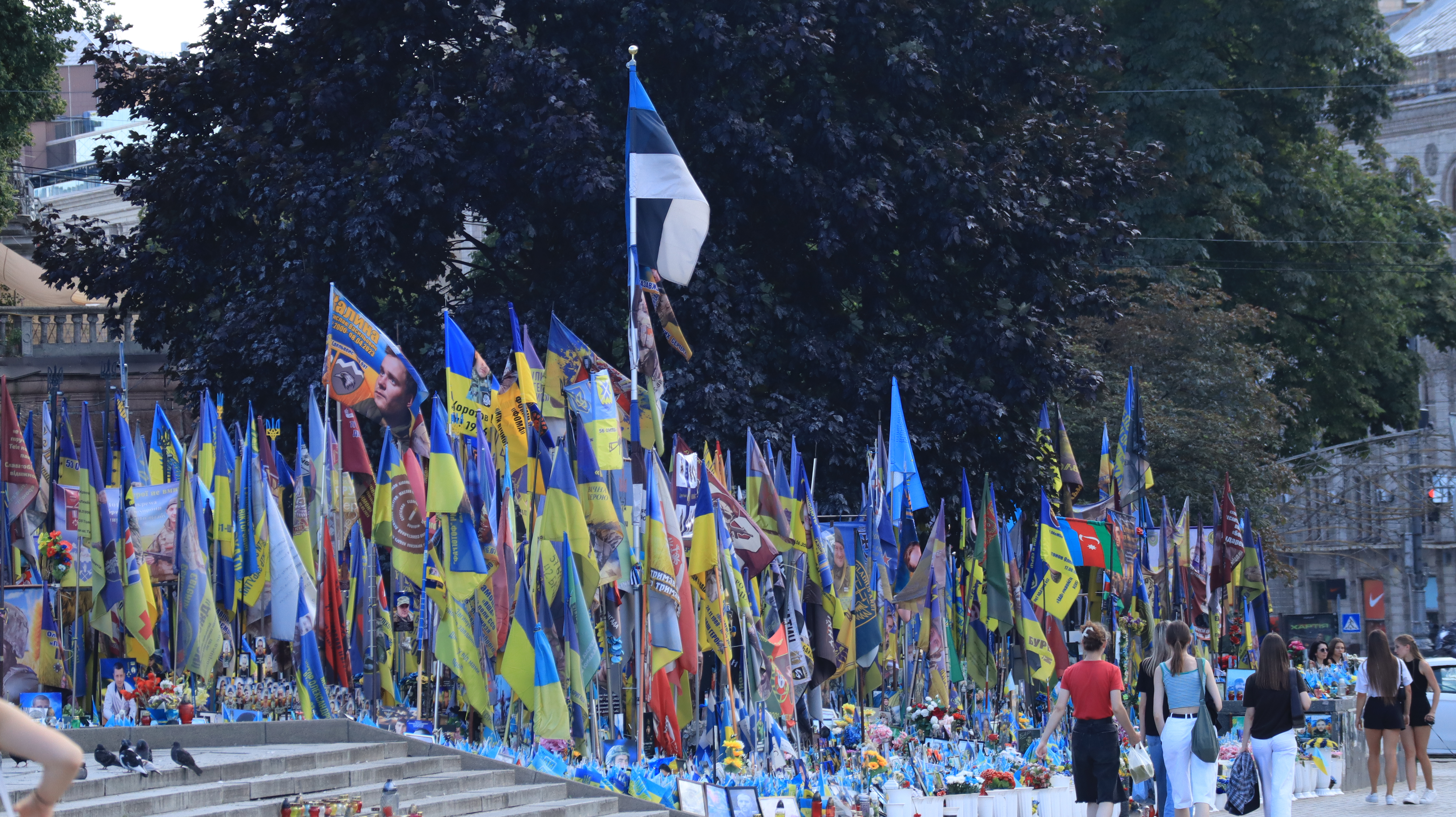 Neben einer Treppe und einem Fußweg türmen sich hunderte Flaggen, so dass kein Rasen mehr zu sehen ist. Ganz oben ist auch eine Estländische Flagge zu sehen. Viele eingerahmte Fotos der gefallenen Soldaten sind zu sehen.